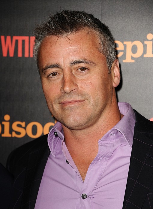 matt leblanc wikipedia alt