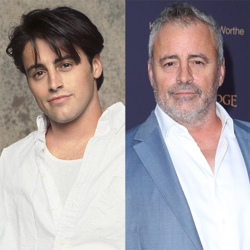 matt leblanc grey alt