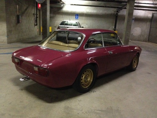 alfa bertone for sale alt