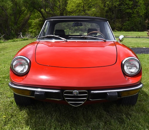 alfa romeo spider alt