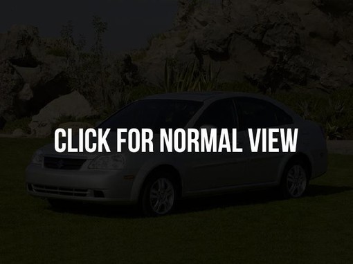 2007 suzuki forenza alt